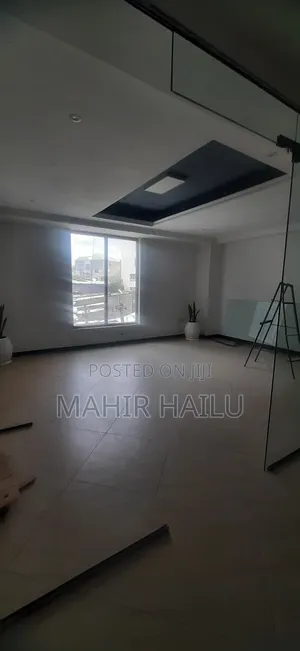Luxury Office in Bole