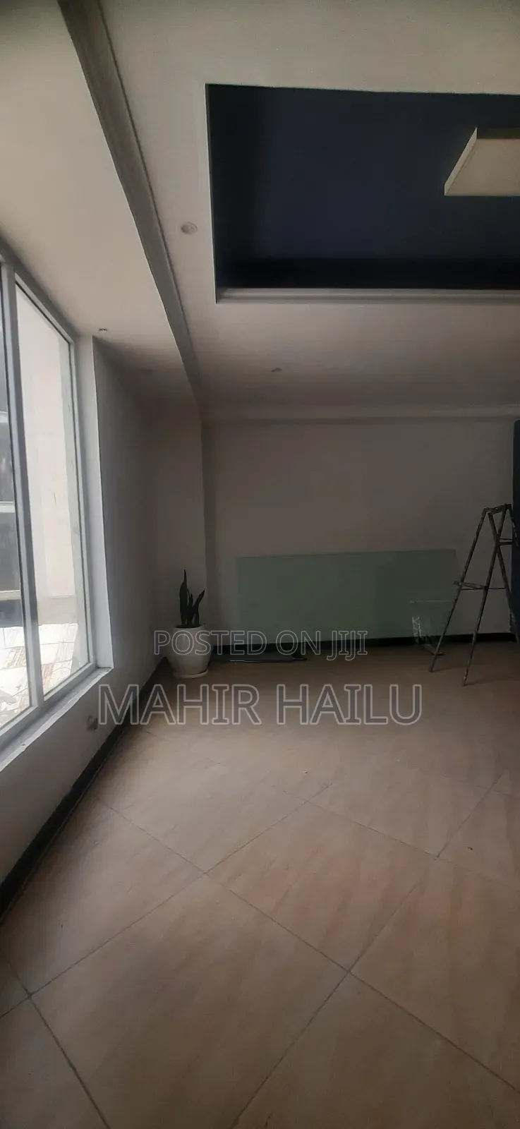 Luxury Office in Bole