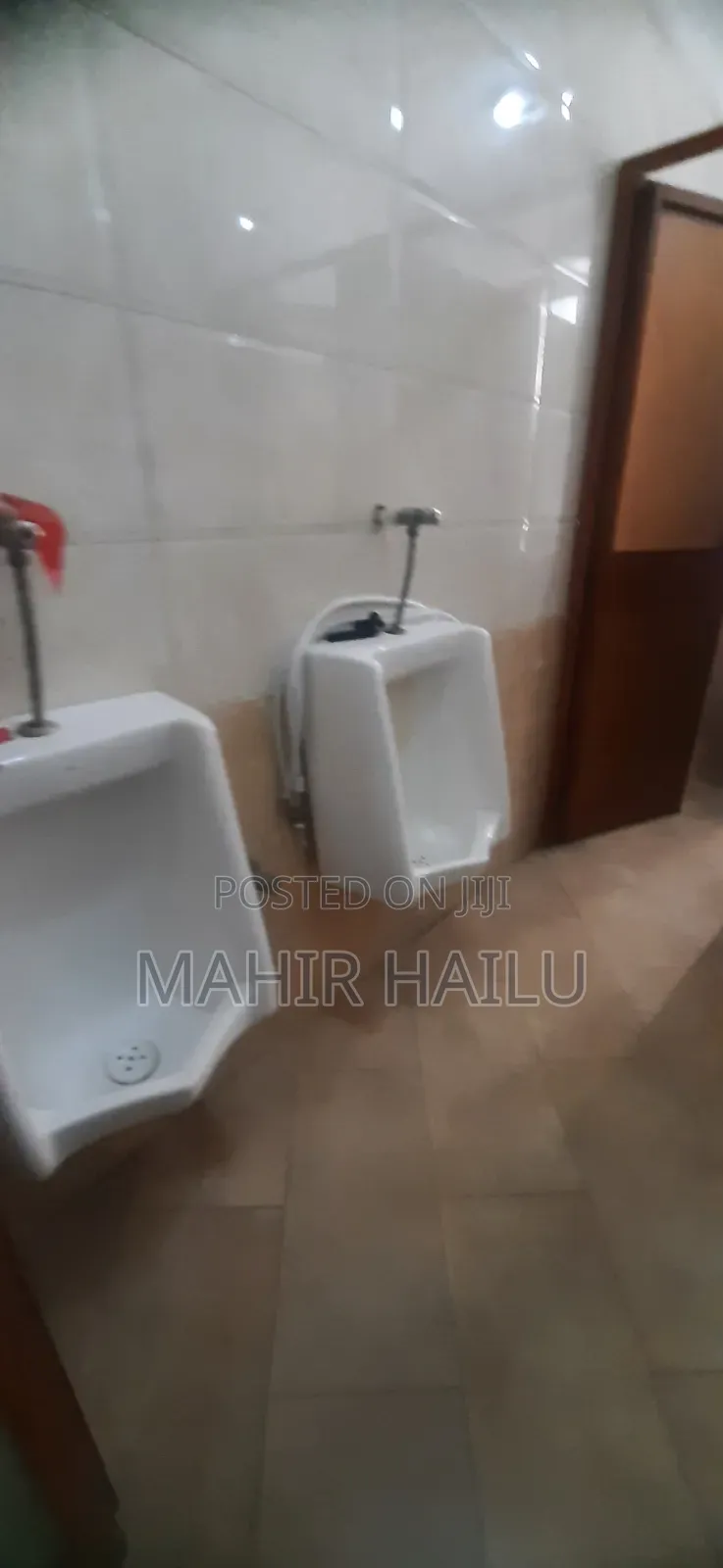 Luxury Office in Bole