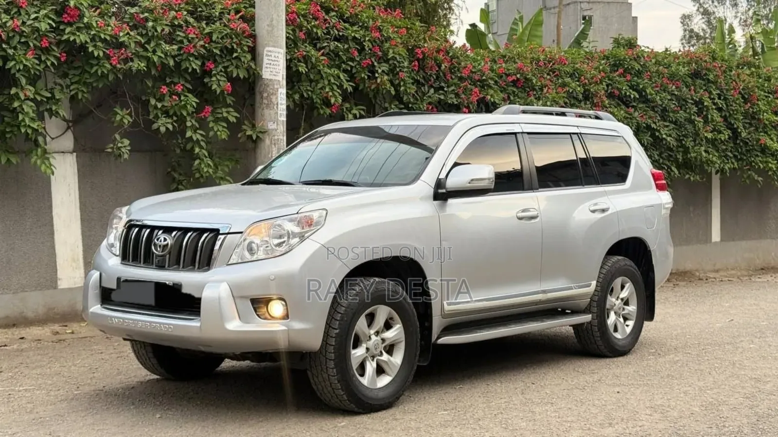Toyota Land Cruiser 2013 Silver