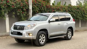 Toyota Land Cruiser 2013 Silver