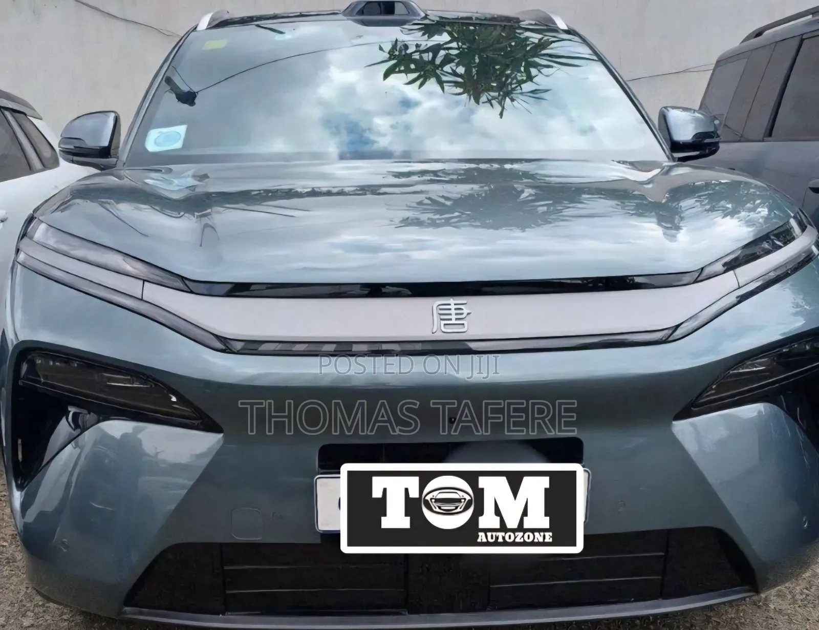 New BYD Tang EV 2025