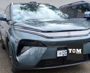 New BYD Tang EV 2025