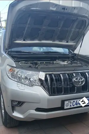 Toyota Land Cruiser Prado 2020 Silver