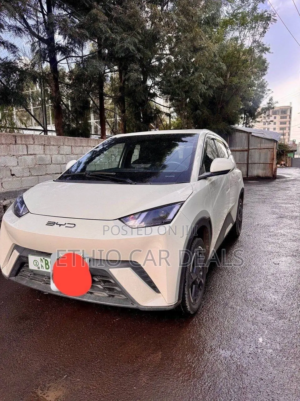 BYD Seagull 2023 White
