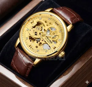 Tevise Automatic Mechanical Skeleton Watch, Typically Featuring a Go