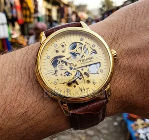 Tevise Automatic Mechanical Skeleton Watch, Typically Featuring a Go