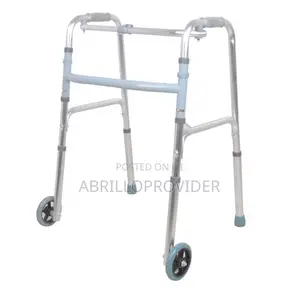 Walking Trainer Auxiliary