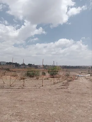 የሚሸጥ 75 ካሬ 5.5 ሚሊየን ብር