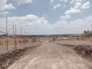 የሚሸጥ 75 ካሬ 5.5 ሚሊየን ብር