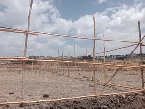 የሚሸጥ 75 ካሬ 5.5 ሚሊየን ብር
