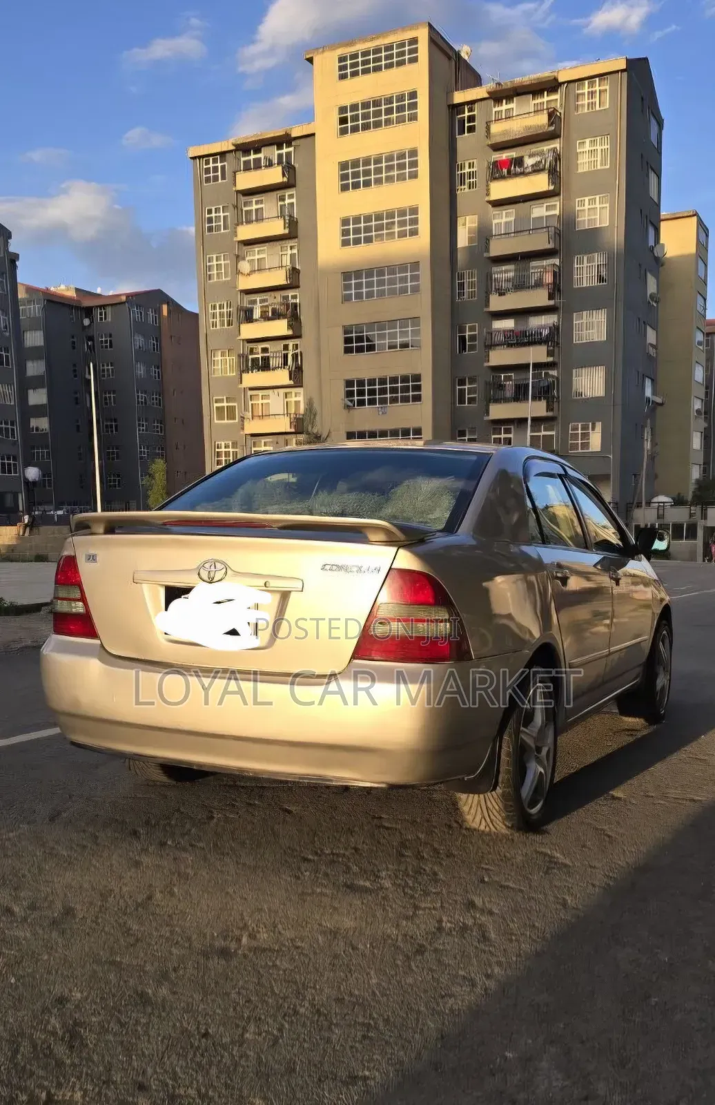 Toyota Corolla 2003 Ivory
