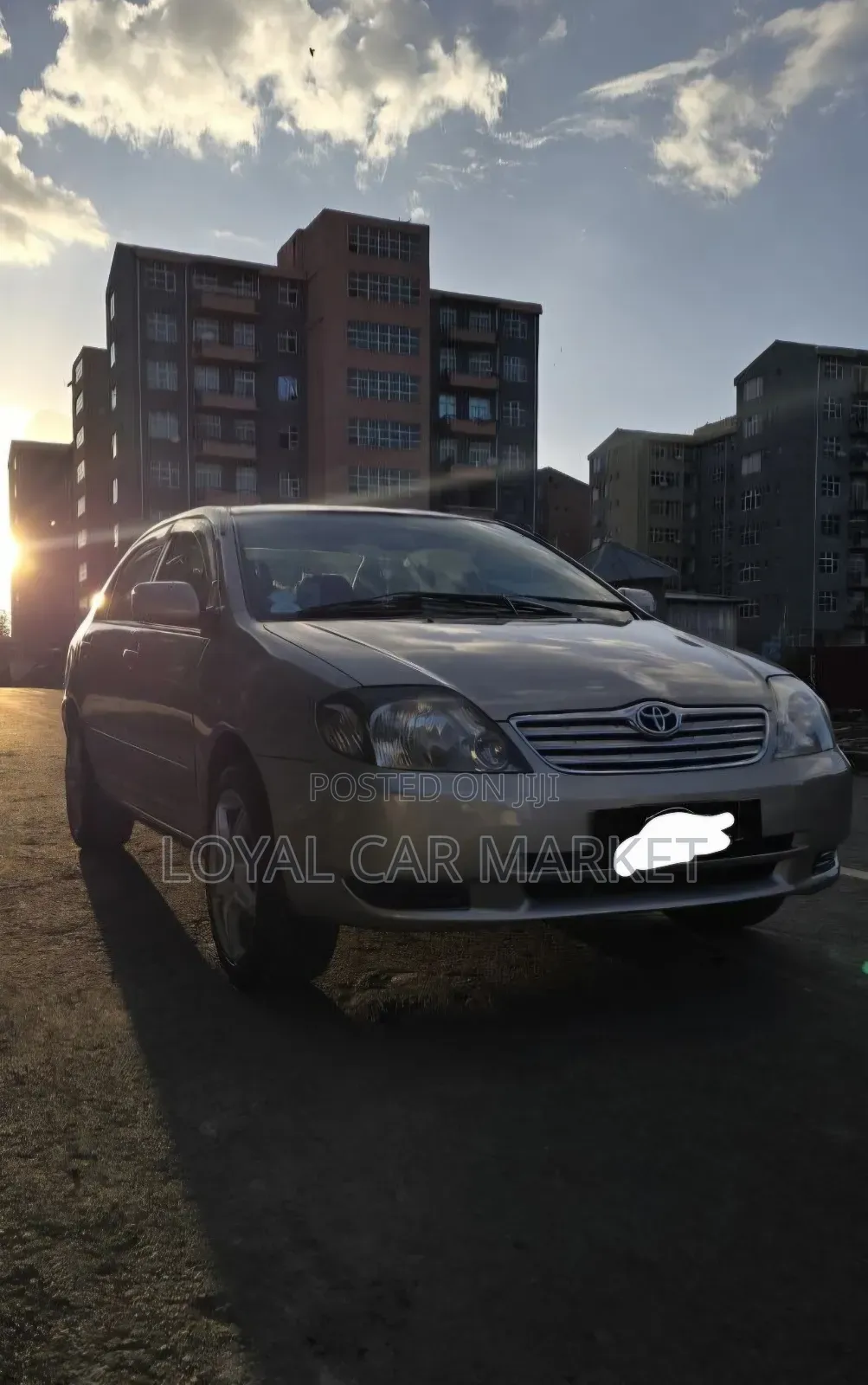 Toyota Corolla 2003 Ivory