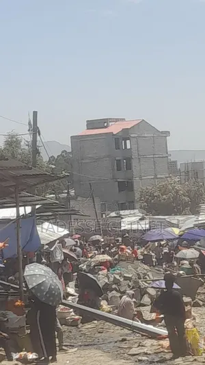Ayat Meri አያት መሪ አካባቢ