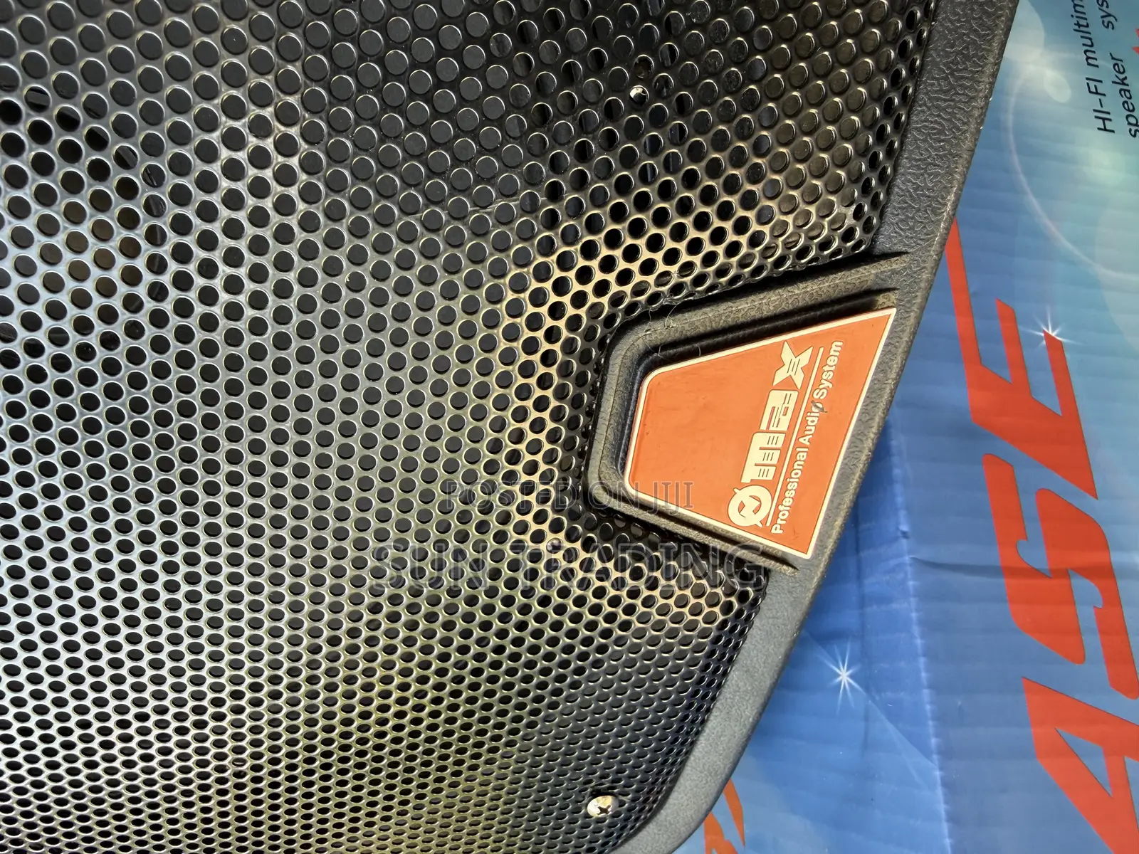 Max 12” Professional Multimedia Speaker | 1239