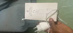 iPhone Charger