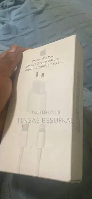 iPhone Charger