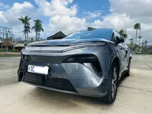 New BYD Tang EV 2025 Gray