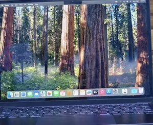 New Laptop Apple MacBook Pro 2019 16GB Apple M4 SSD 256GB
