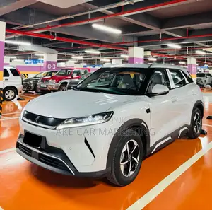 BYD Yuan Up 2025 White
