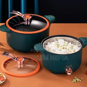 Electric Pressure Cooker