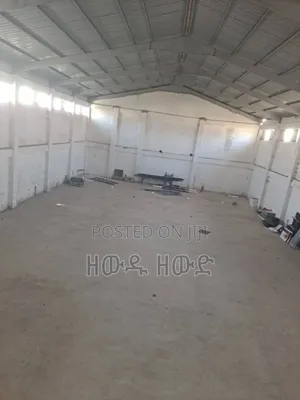 የሚከራይና የሚሸጥ መጋዝን
