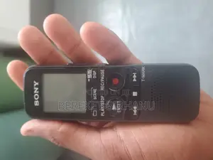 Sony Icd-px333