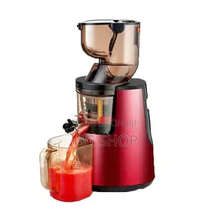 Slow Juicer Extractor
