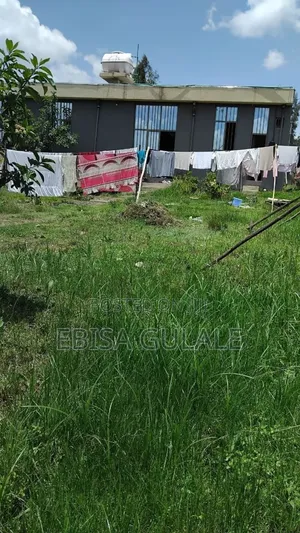 Furnished 3bdrm Farm House in Yeka for sale