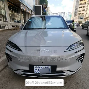 BYD Song Plus 2025 Gray