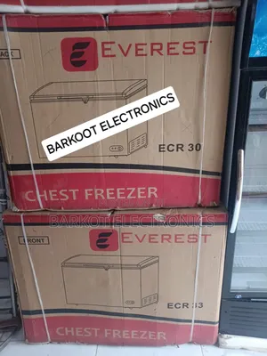 Everest Chest Freezer Model Ever 300l Dpee Fereg Quality Brand