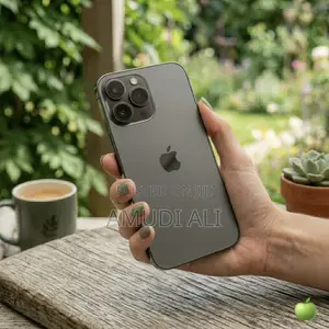 Apple iPhone 12 Pro Max 256 GB Gray