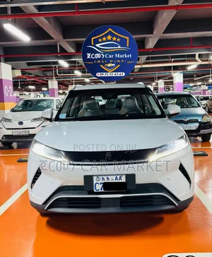 BYD Yuan Up 2025 Off white