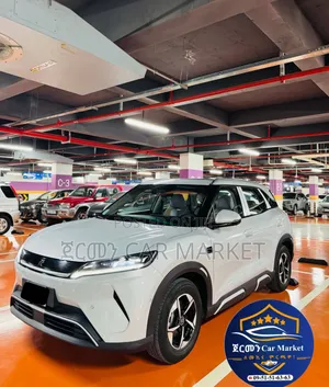BYD Yuan Up 2025 Off white