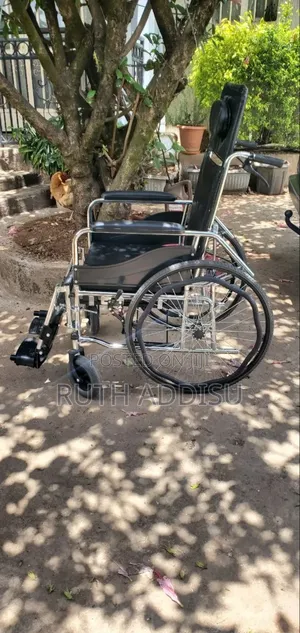 Gas Handicapped Scooter Manual Car Hand Tricycle Wheelchair Wheelchair