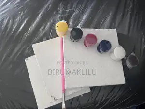 3 Mini Canvas 1 Brush 6color Paint