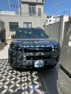 New BYD Leopard 7 2025 Gray