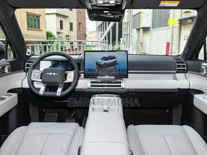 New BYD Leopard 7 2025 Gray