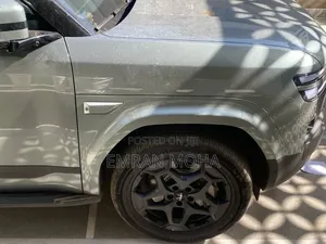 New BYD Leopard 7 2025 Gray