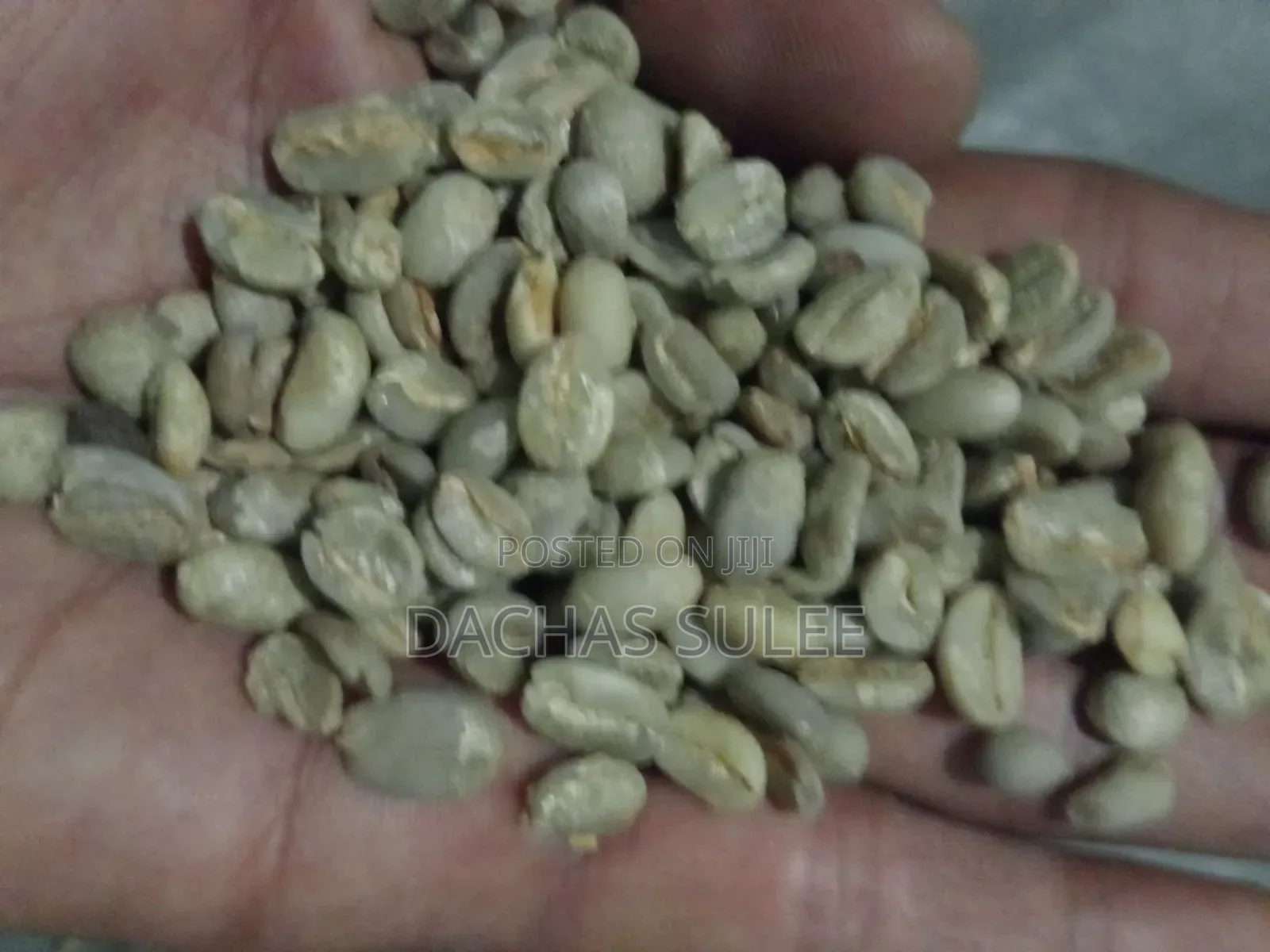East Harargee Coffee