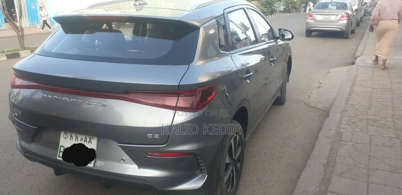 BYD E2 43 kWh 94 hp FWD 2024 Silver