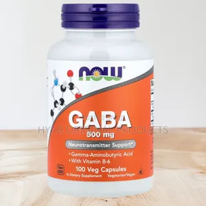 Gaba 500 Mg , Natural Neurotransmitter 100 Veg Capsules