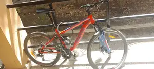 Cripper Bicycle