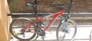 Cripper Bicycle