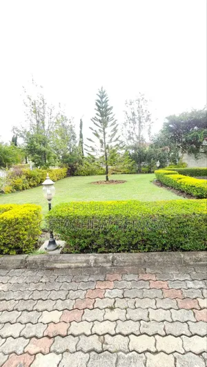 4bdrm House in Ccd, Oromia-Finfinne for sale