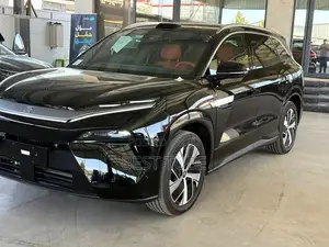 New BYD Tang EV 2025 Black