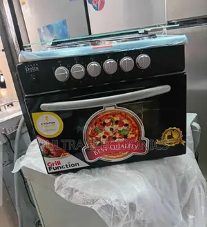 Delta Europe 4-Burner Oven Cooker, Likely a Compact Electric