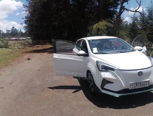 Changan BenBen E-Star 32 kWh FWD 2023 White
