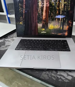 New Laptop Apple MacBook Pro 2021 M1 32GB Apple M1 SSD 1T