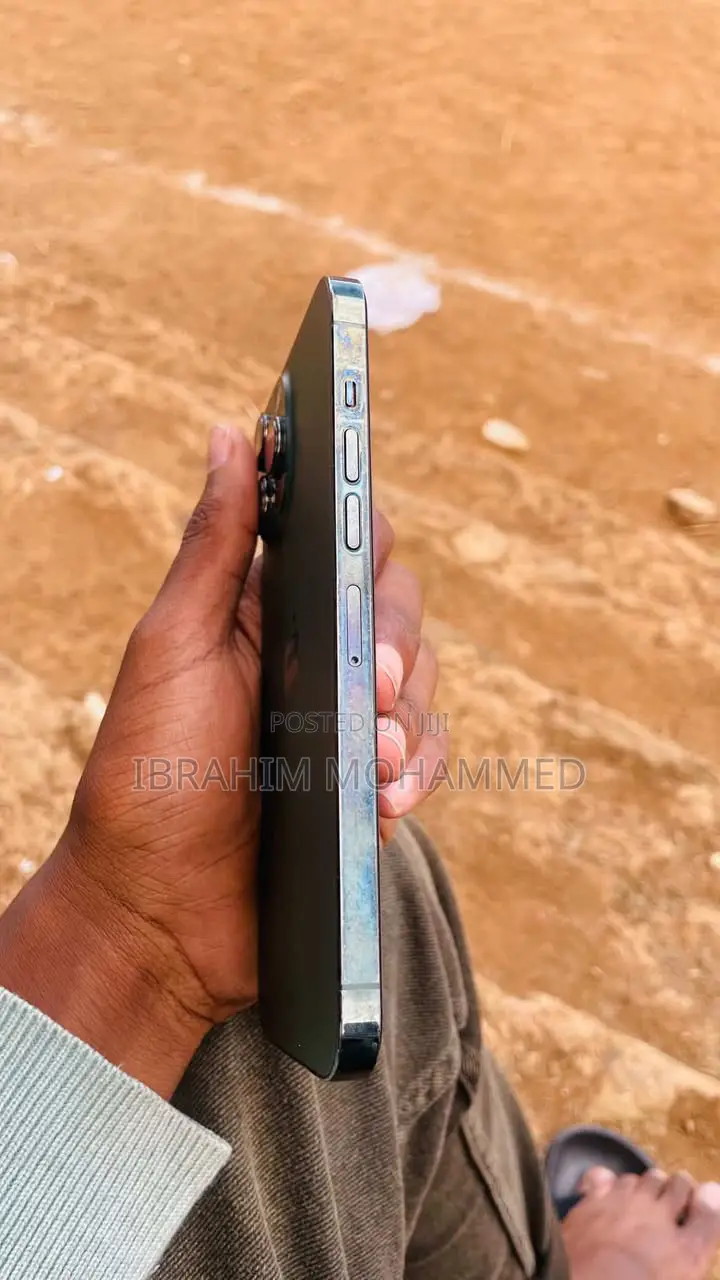 Apple iPhone 13 Pro Max 256 GB Green